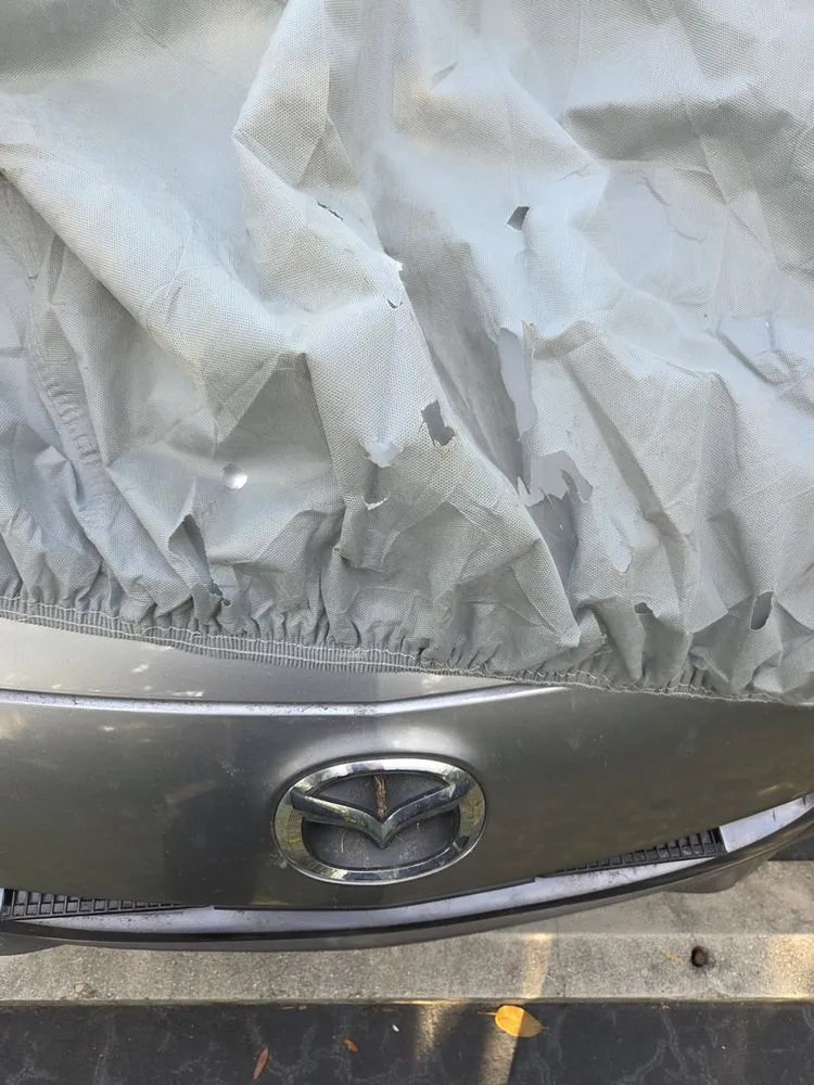 Trusted outdoor landscaping for residential properties in Bonita Springs, FL by Expert Lawn Care