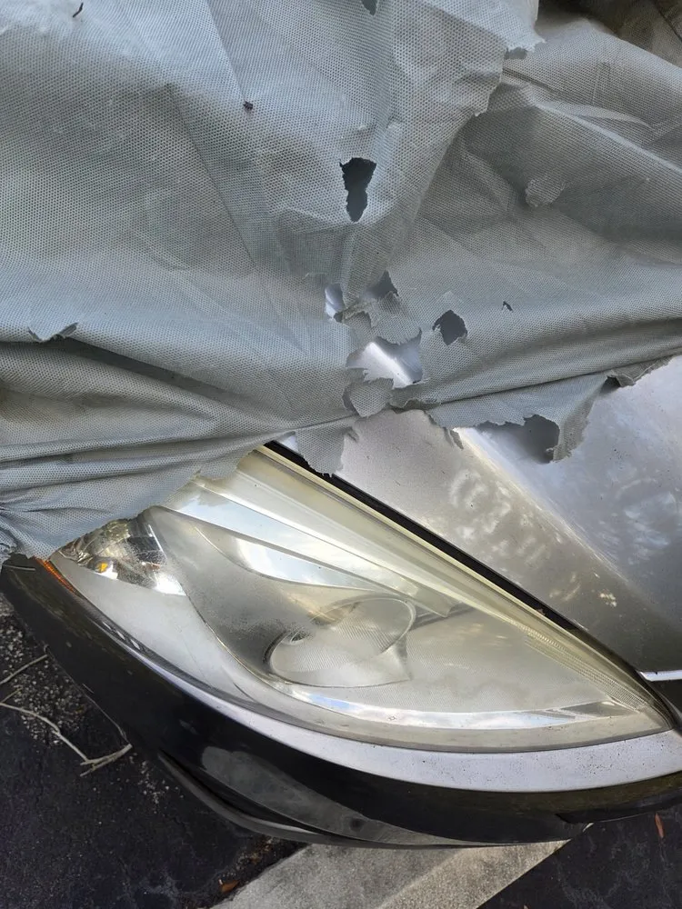 Affordable landscaping services experts serving Bonita Springs, FL - Expert Lawn Care