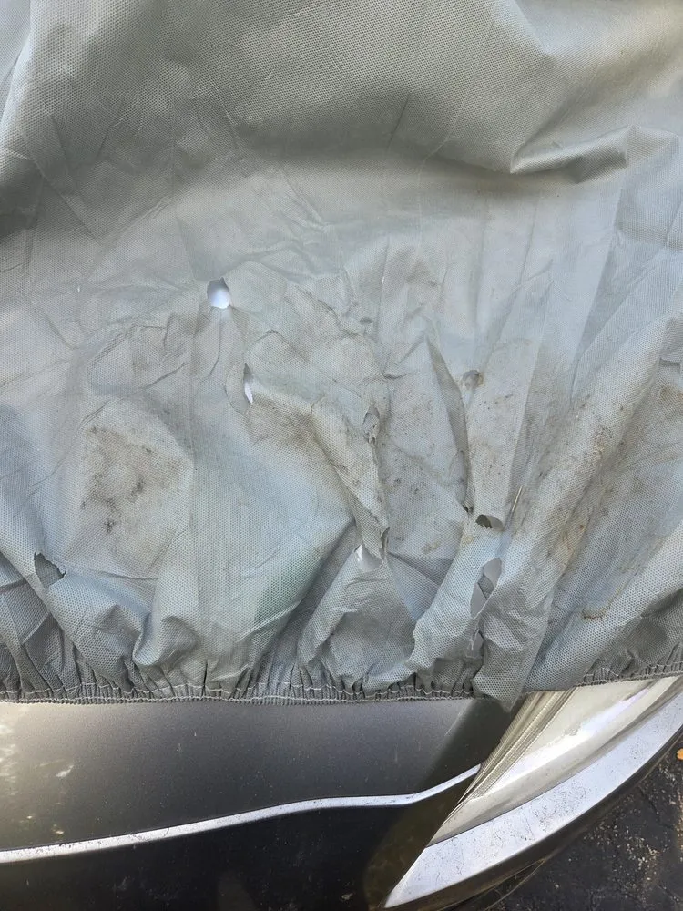 Trusted residential landscaping in Bonita Springs, FL - Expert Lawn Care