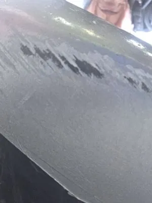 Expert Lawn Care Logo