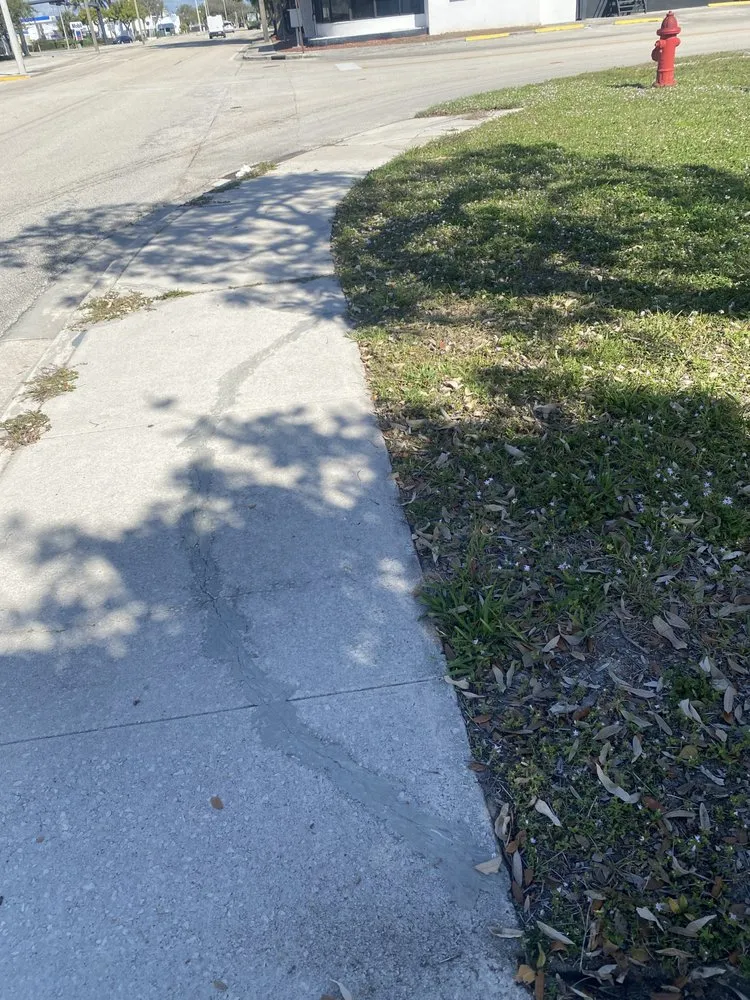 Local outdoor landscaping experts serving Hollywood, FL - Expert Lawn Care