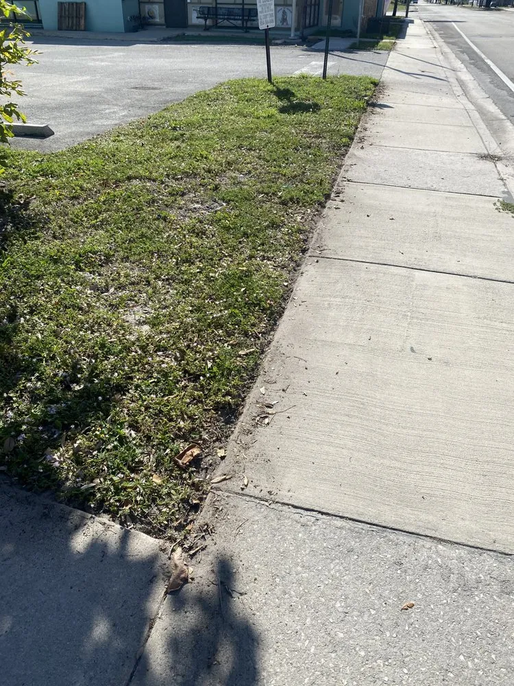 Trusted outdoor landscaping experts serving Hollywood, FL - Expert Lawn Care