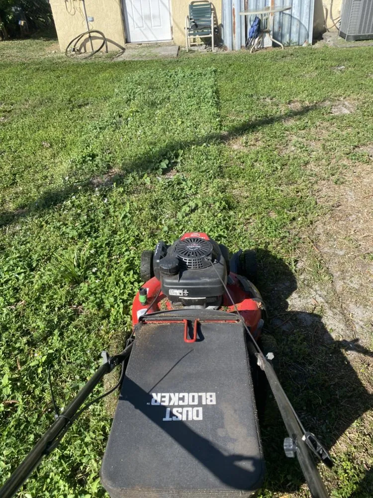 Local yard cleanup service for year-round maintenance in Hollywood, FL by Expert Lawn Care