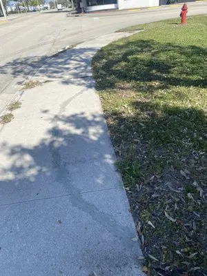 Expert Lawn Care Logo