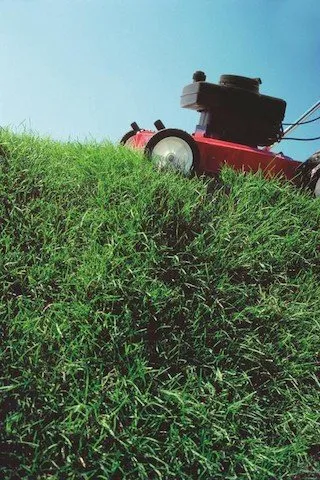 Top-rated landscape installation in Montello, WI - Expert Lawn Care