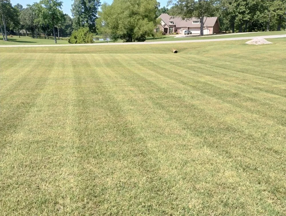 Professional yard maintenance for beautiful yards in Paragould, AR by Expert Lawn Care Of Nea