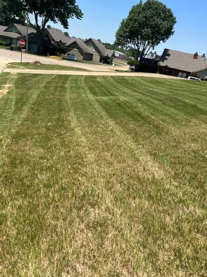 Local yard cleanup service in Paragould, AR - Expert Lawn Care Of Nea