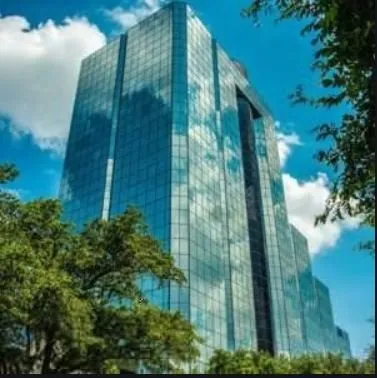 Trusted yard cleanup service for homes across Dallas, TX - Expert Organics