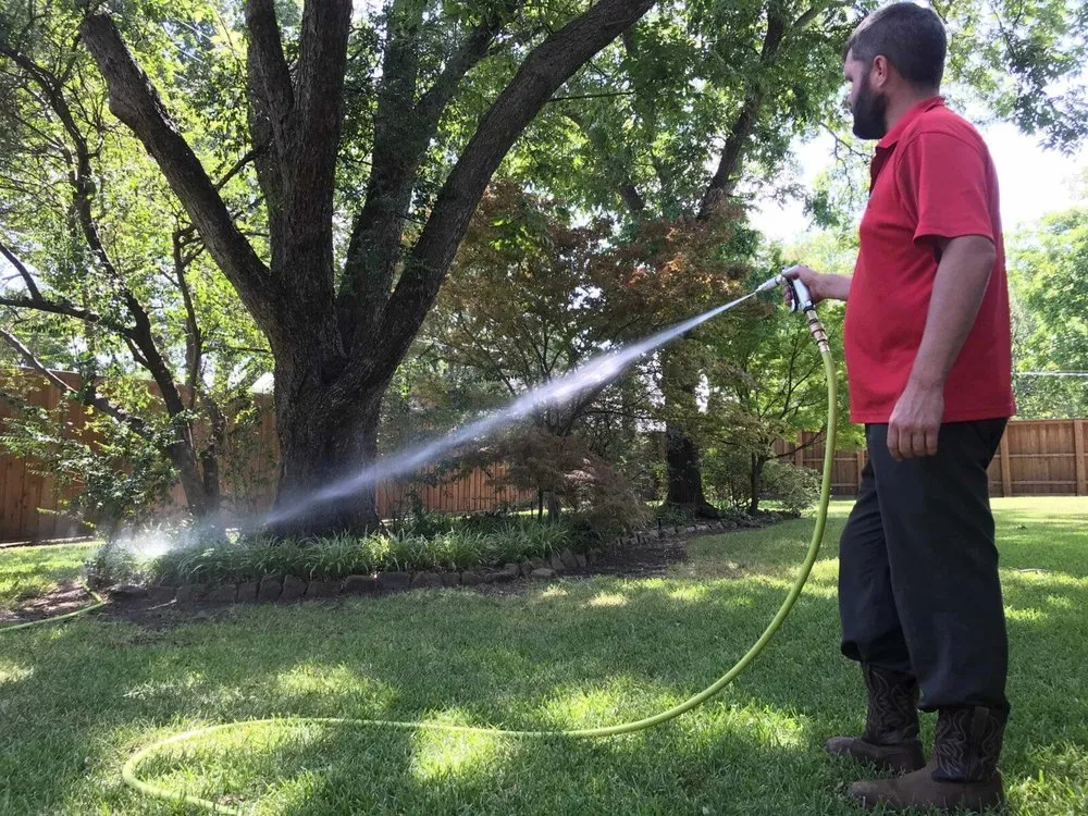 Custom outdoor landscaping in Dallas, TX by Expert Organics