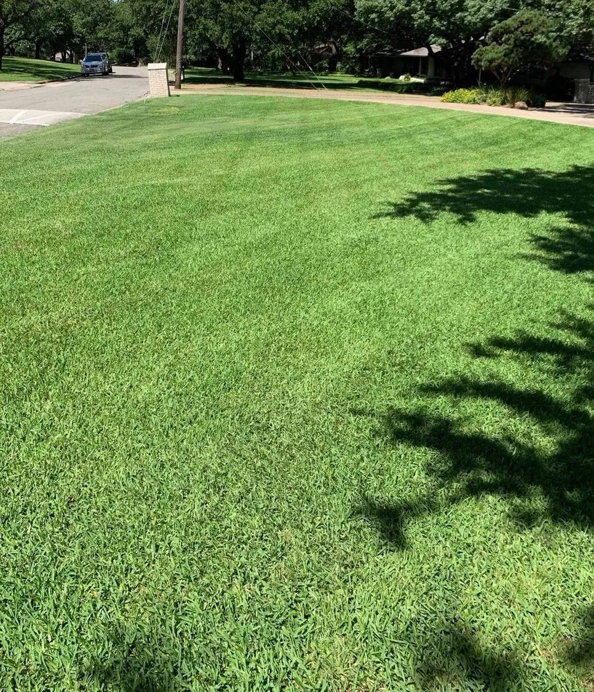 Local outdoor landscaping in Dallas, TX by Expert Organics