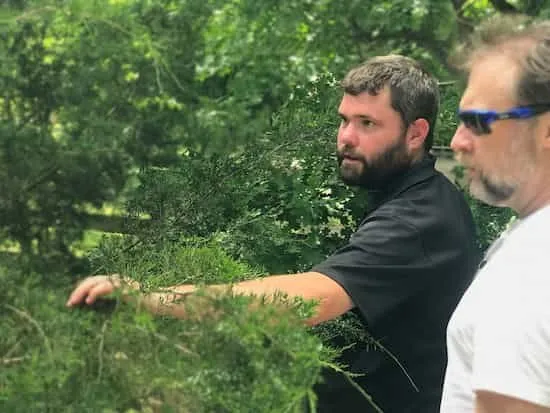 Reliable landscape design for residential properties across Dallas, TX - Expert Organics