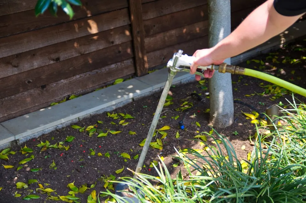 Local garden landscaping experts serving Dallas, TX - Expert Organics