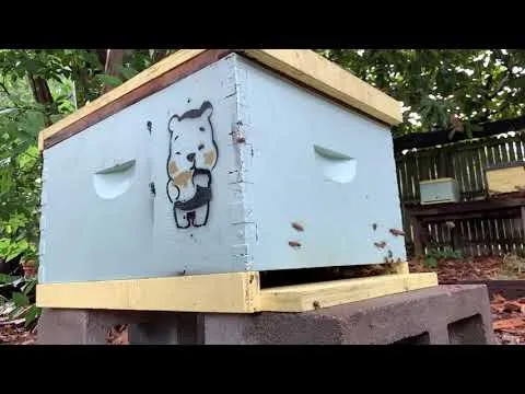 Reliable residential landscaping experts serving Dallas, TX - Expert Organics