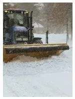 Affordable yard cleanup service in Woodbridge, NJ by Expert Stump Removal