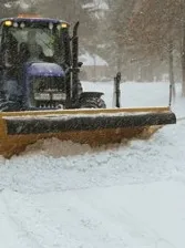 Reliable garden landscaping for year-round maintenance in Woodbridge, NJ by Expert Stump Removal