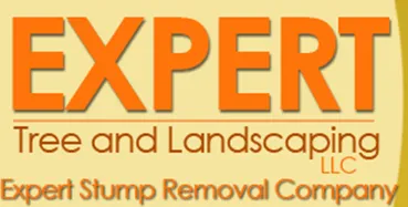 Reliable outdoor landscaping experts serving Woodbridge, NJ - Expert Stump Removal