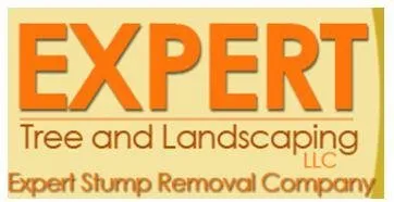 Reliable lawn mowing service in Woodbridge, NJ - Expert Stump Removal