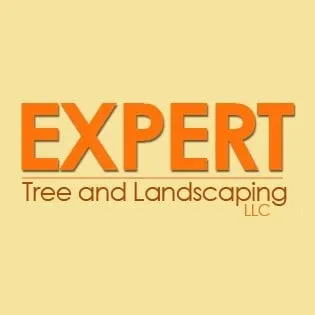 Trusted lawn care service with custom design across Woodbridge, NJ - Expert Stump Removal