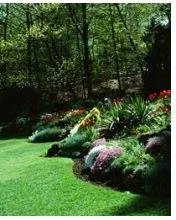 Trusted landscape design experts serving Woodbridge, NJ - Expert Stump Removal