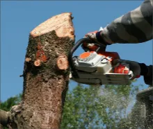 Affordable residential landscaping near you in Portersville, PA by Expert Tree & Landscaping Service