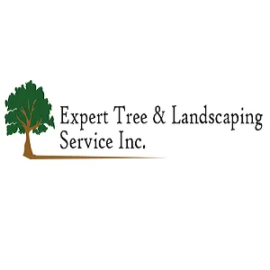 Reliable yard cleanup service for beautiful yards in Portersville, PA by Expert Tree & Landscaping Service