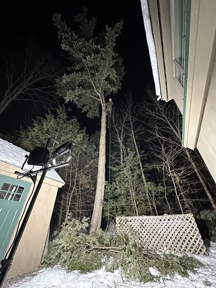 Trusted lawn care service in Portsmouth, NH by Expert Tree Removal