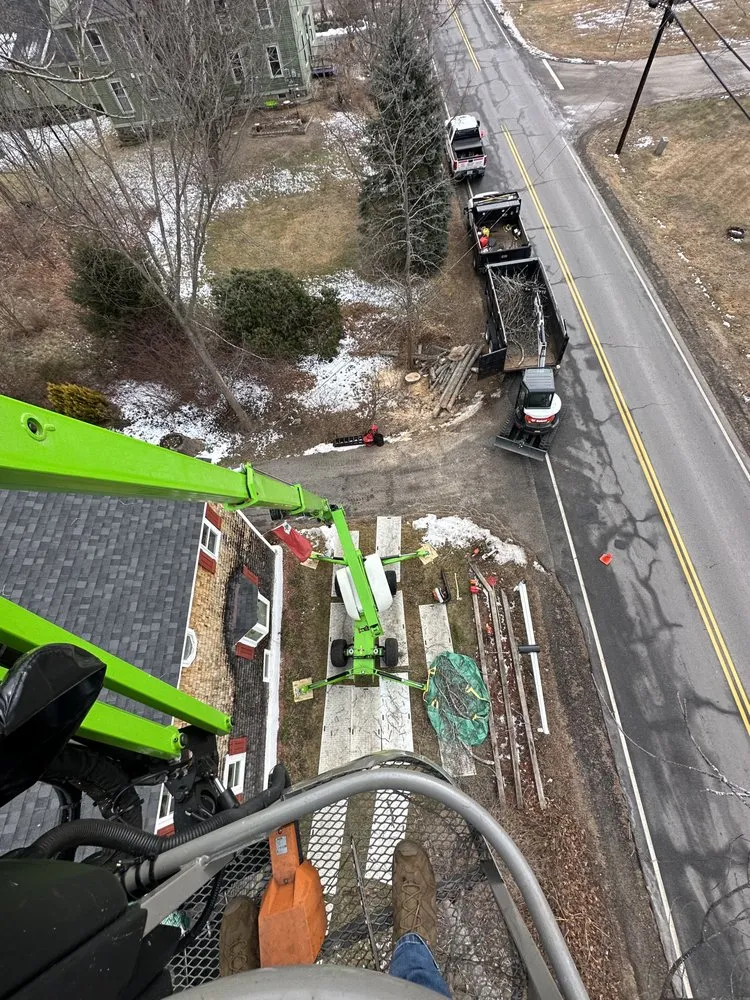 Reliable yard cleanup service for homes across Portsmouth, NH - Expert Tree Removal