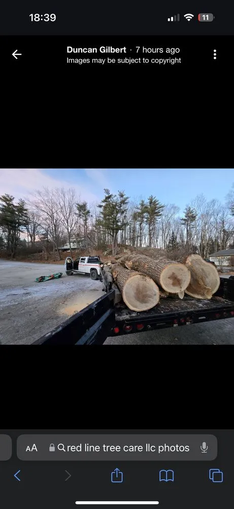 Local yard cleanup service in Portsmouth, NH by Expert Tree Removal