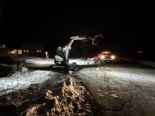 Expert Tree Removal Logo