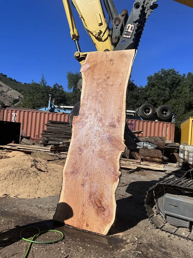 Expert landscape design in Orinda, CA - Expert Tree Service