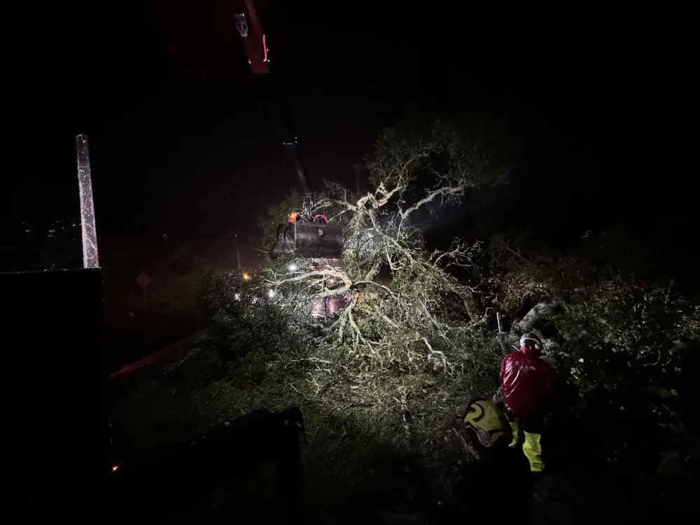 Affordable garden landscaping experts serving Orinda, CA - Expert Tree Service