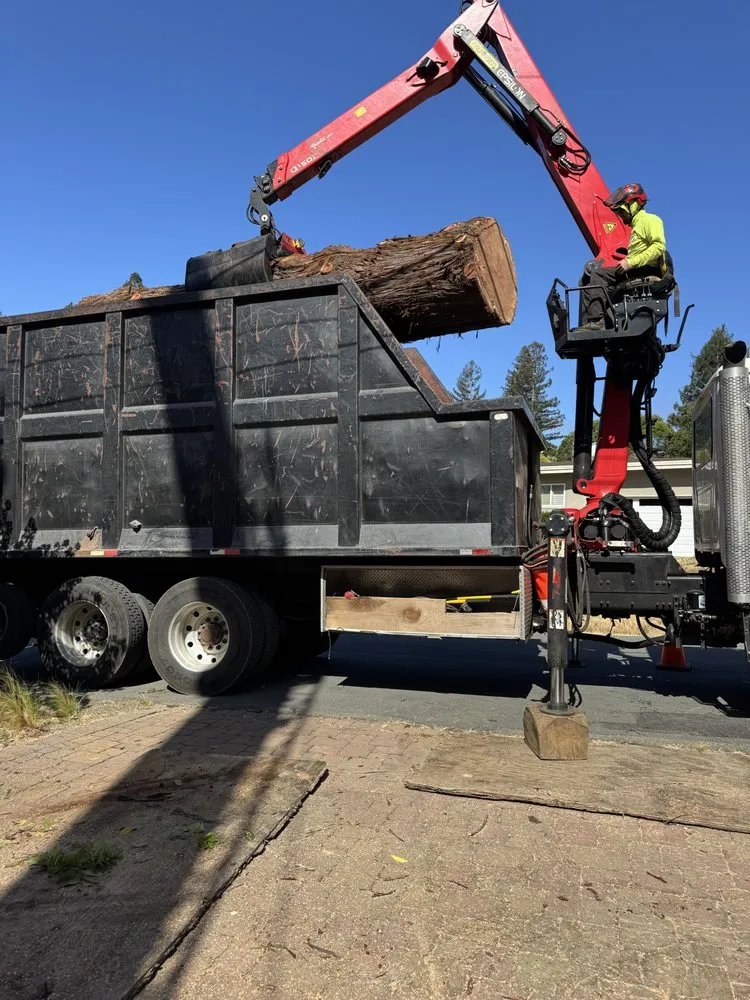 Trusted landscaping services in Orinda, CA - Expert Tree Service