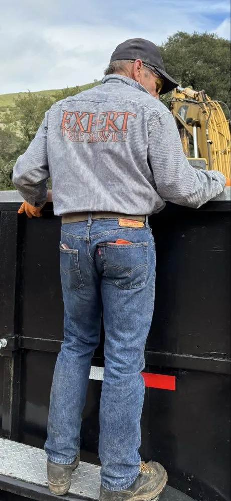 Top-rated yard maintenance for residential properties in Orinda, CA by Expert Tree Service