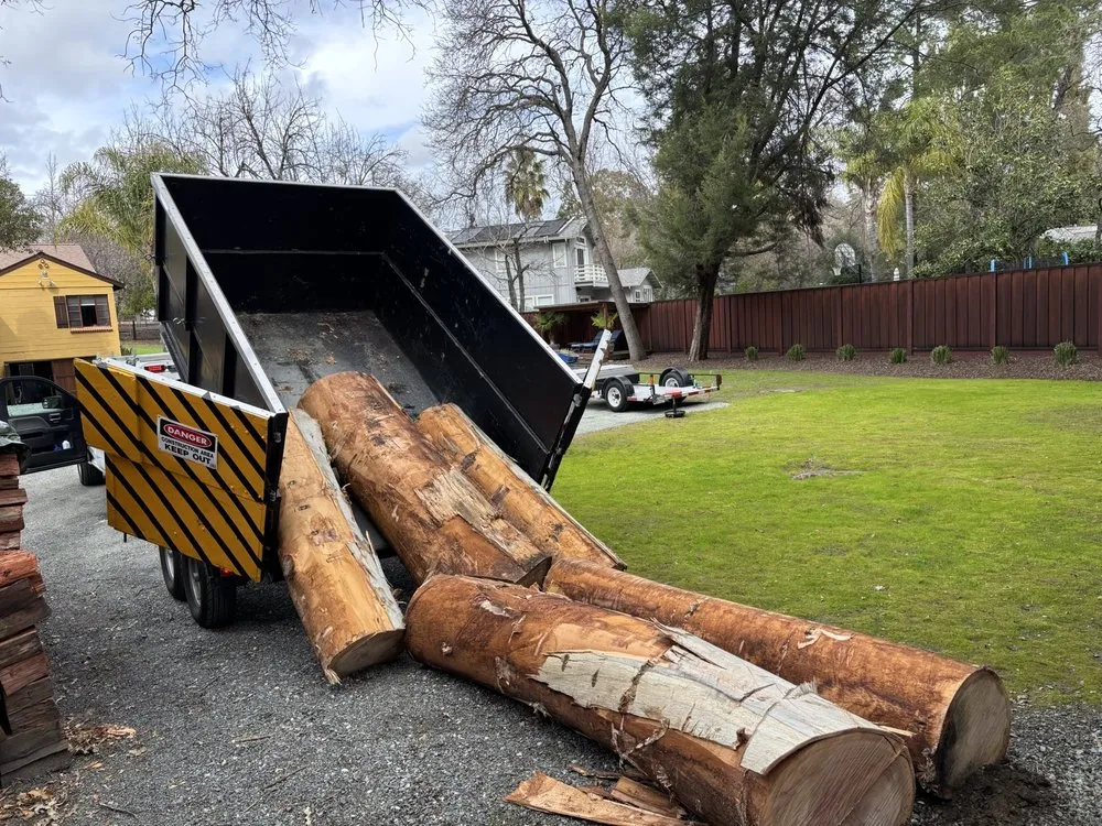 Top-rated yard cleanup service experts serving Orinda, CA - Expert Tree Service