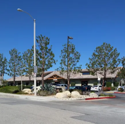 Expert landscaping services for outdoor upgrades across Palmdale, CA - Expert Tree Service