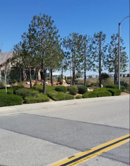 Local landscaping services for outdoor upgrades across Palmdale, CA - Expert Tree Service