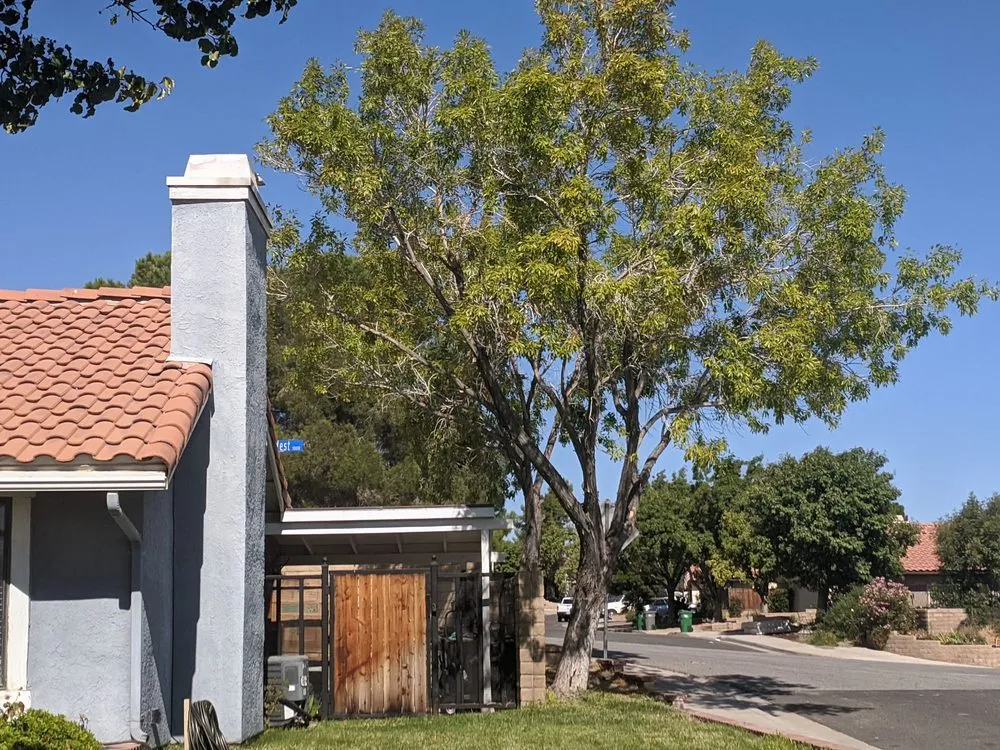 Reliable garden landscaping in Palmdale, CA by Expert Tree Service