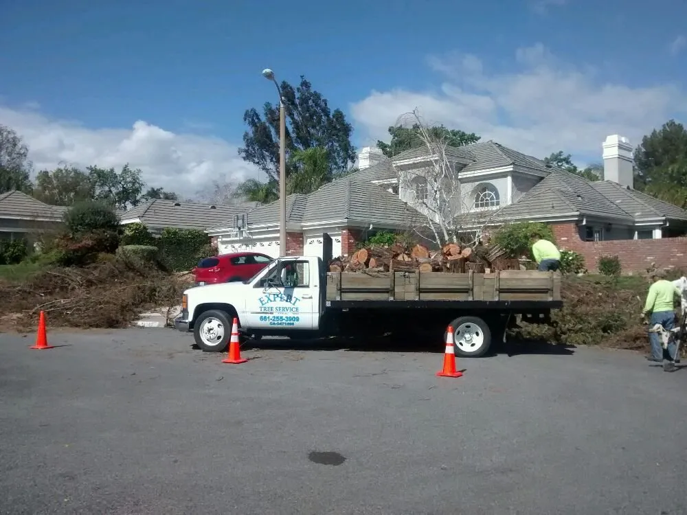 Expert landscaping services in Palmdale, CA - Expert Tree Service
