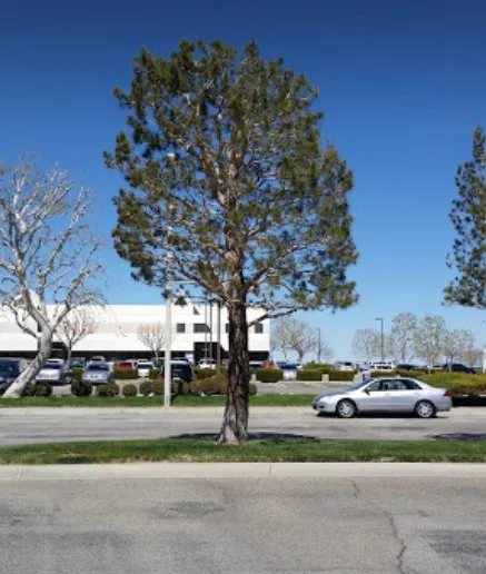 Local landscaping services for residential properties across Palmdale, CA - Expert Tree Service