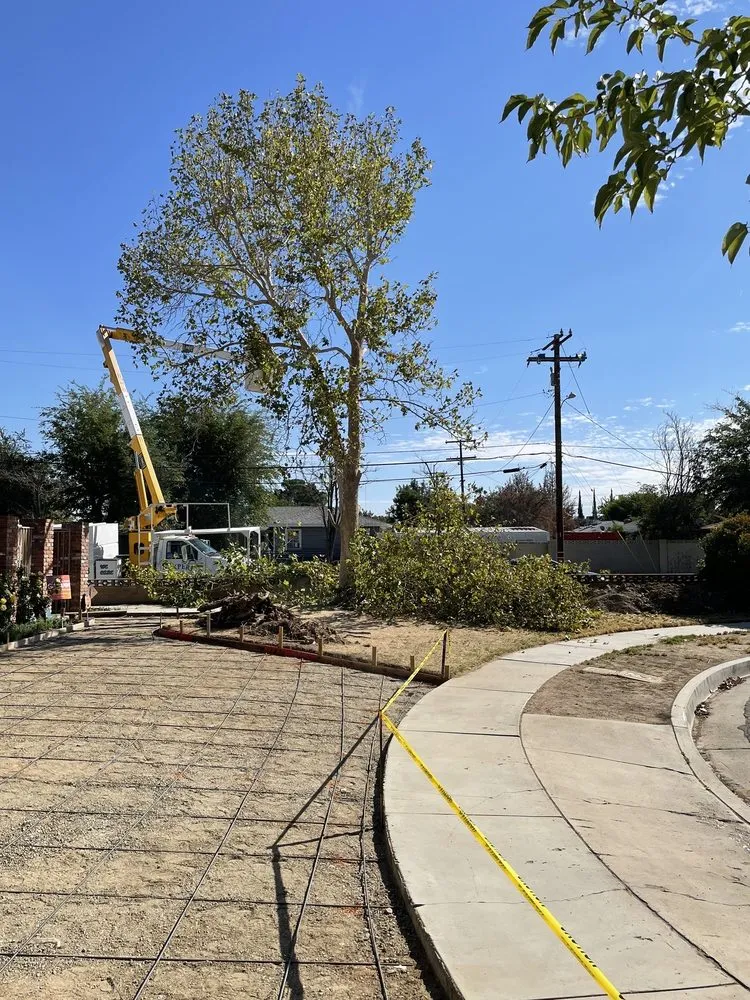 Local lawn care service experts serving Palmdale, CA - Expert Tree Service