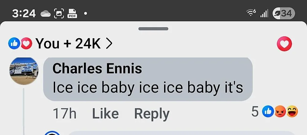 Trusted landscaping services for outdoor upgrades across Palmdale, CA - Expert Tree Service