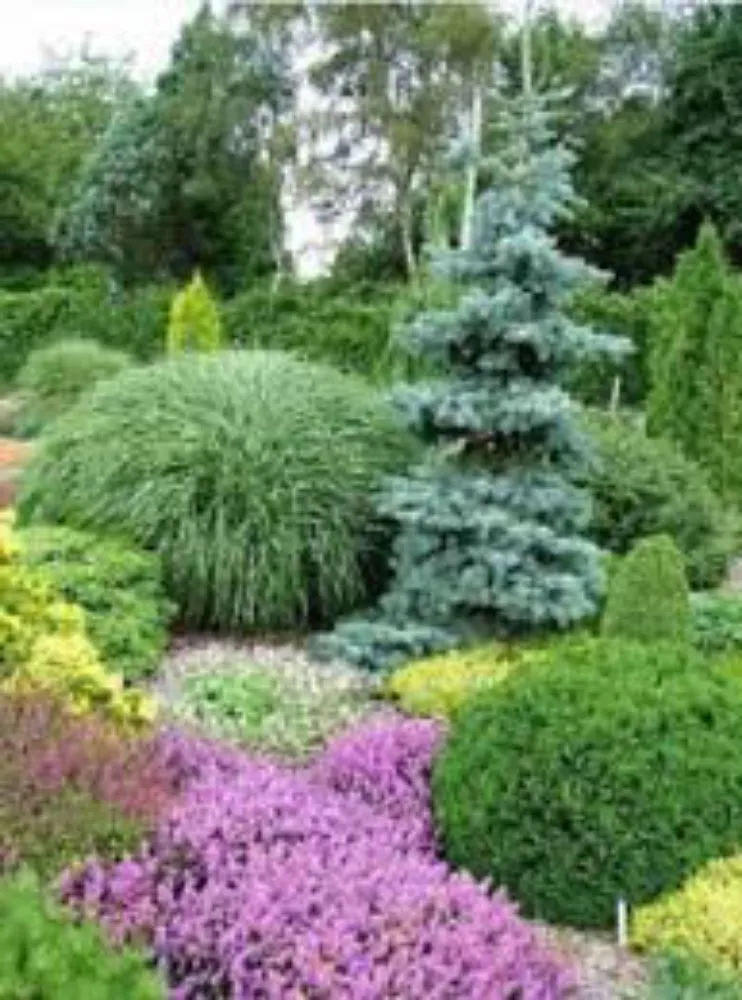 Expert landscape design in Belfair, WA - experts Service & maintenance landscape