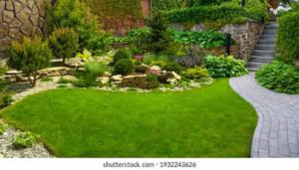 Custom yard cleanup service for year-round maintenance across Belfair, WA - experts Service & maintenance landscape