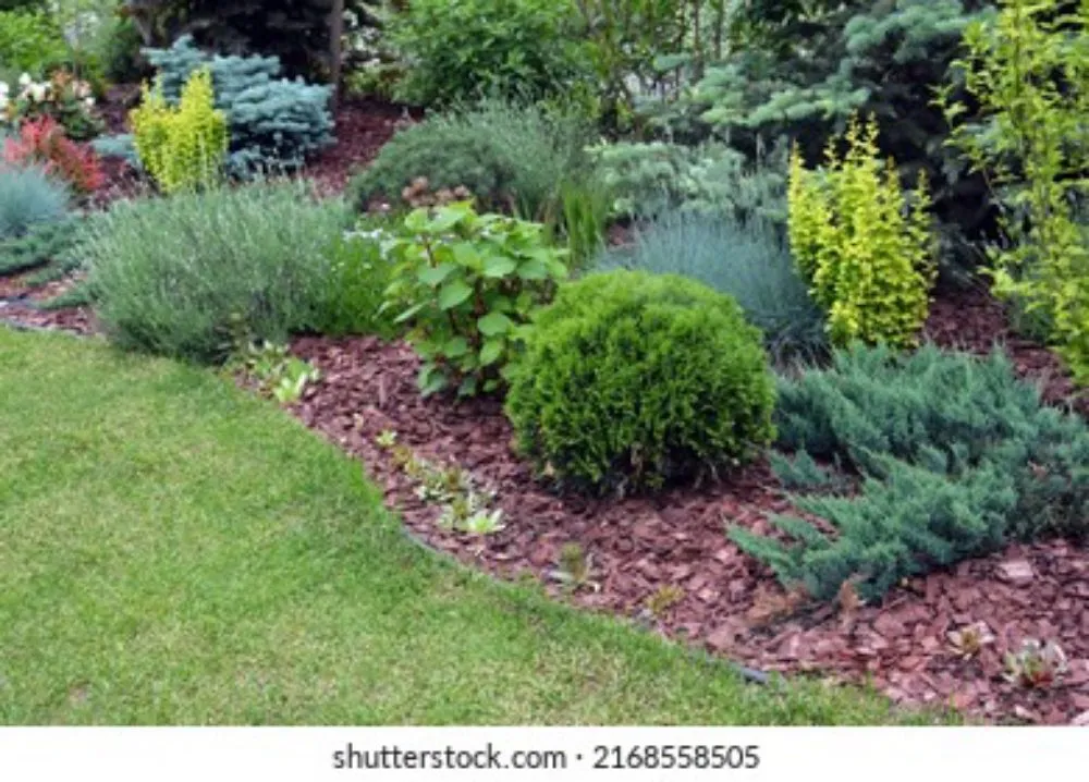 Expert landscaping services in Belfair, WA - experts Service & maintenance landscape