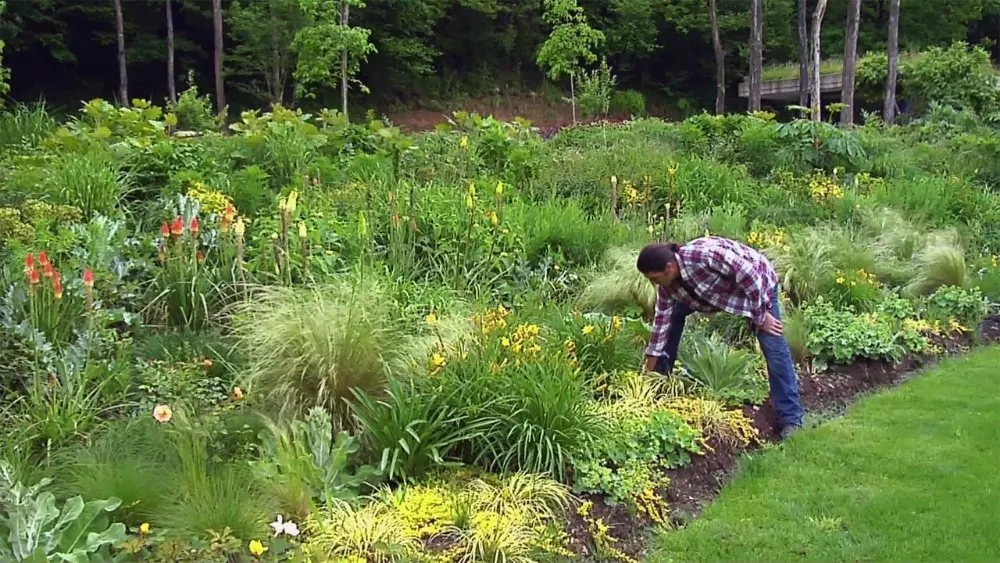 Expert outdoor landscaping for beautiful yards in Belfair, WA by experts Service & maintenance landscape