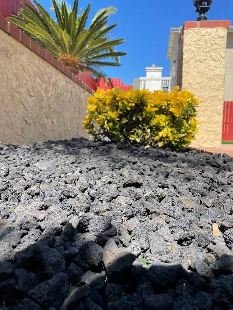 Expert garden landscaping for outdoor upgrades across Woodland Hills, CA - Experturf Wholesale