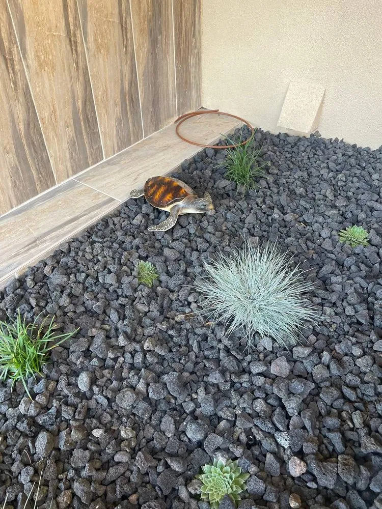 Reliable garden landscaping for outdoor upgrades across Woodland Hills, CA - Experturf Wholesale