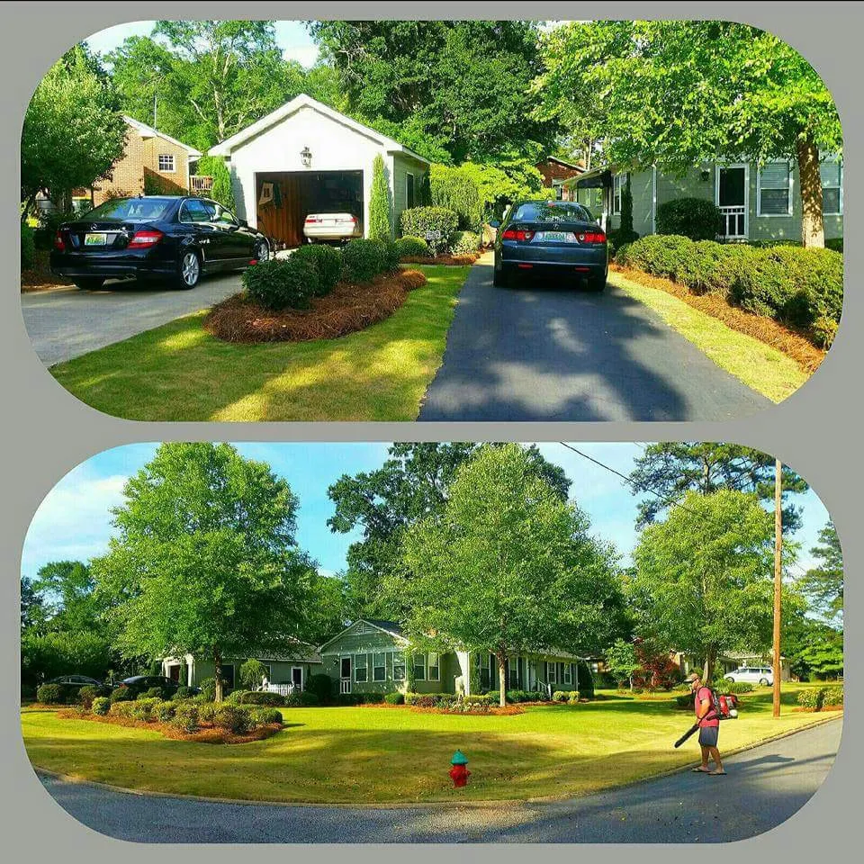Custom landscaping services for outdoor upgrades across Opelika, AL - Exposition Lawn & Grounds Care