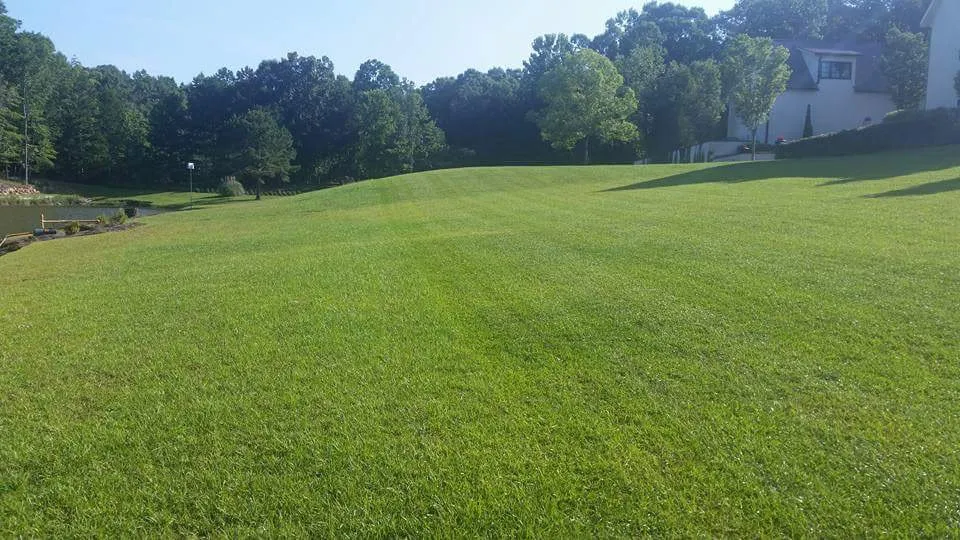 Top-rated landscape design for residential properties across Opelika, AL - Exposition Lawn & Grounds Care