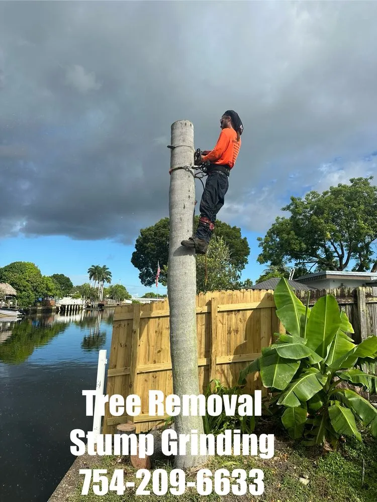 Trusted lawn care service in Davie, FL by Express 1 Landscaping